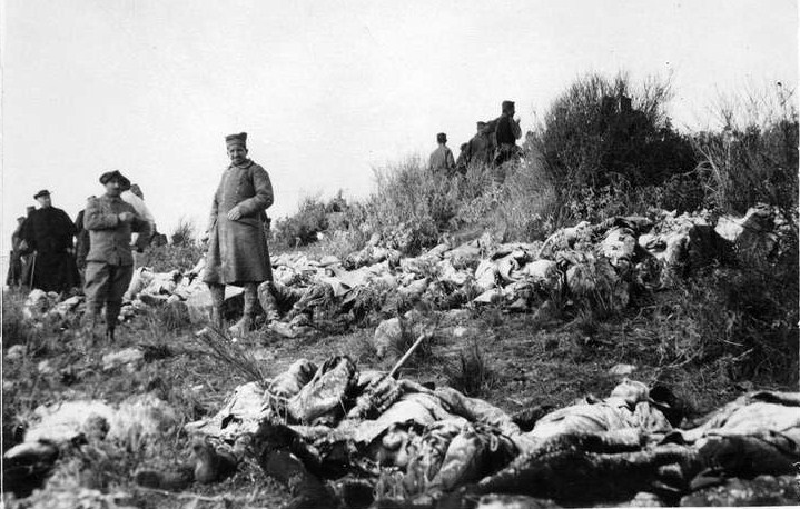 Умрли српски војници на острву Видо, фебруара 1916. године