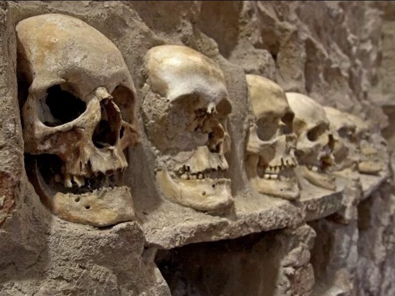 Драган Буковички: О ПОЕМИ БОЈ НА ЧЕГРУ И ЊЕНОЈ ОДИСЕЈИ